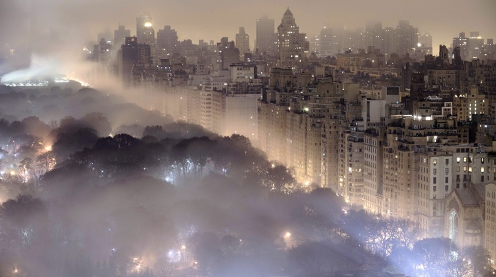 mist, cityscape, night, building, New York City, landscape, trees, lights, urban