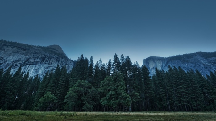 landscape, nature, mountain, forest