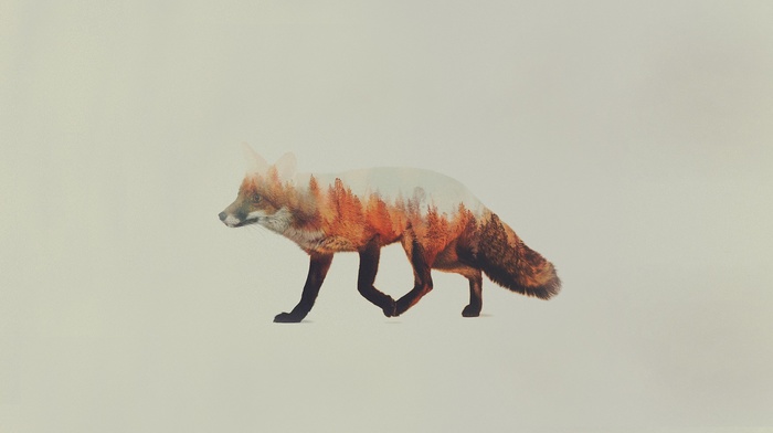 Andreas Lie, animals, fox, Double Exposure