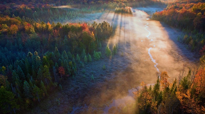 river, fall, mist, forest, landscape, aerial view, sun rays, nature, trees, sunrise, field