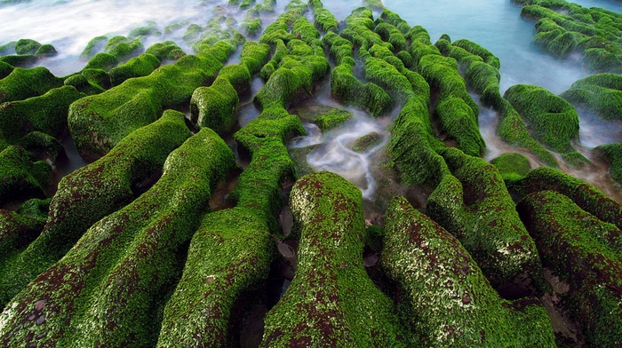long exposure, sea, landscape, algae, moss, green, rock, water, nature