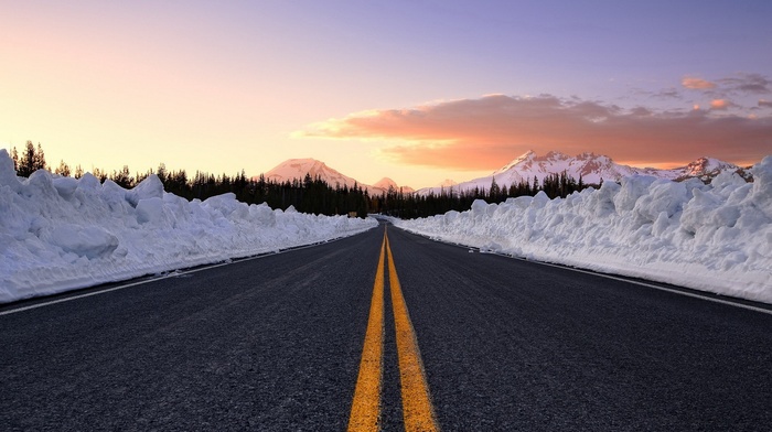 road, nature, landscape