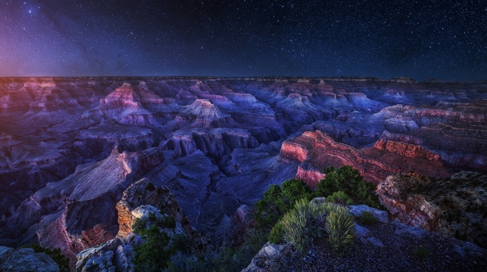 Grand Canyon, landscape, panoramas, long exposure, shrubs, nature, erosion, starry night, Arizona