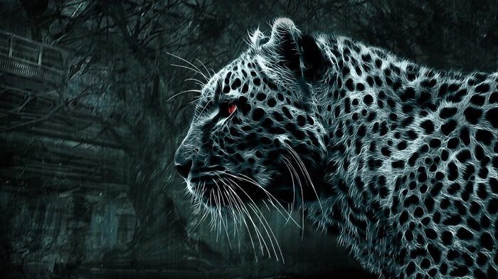 leopard, simple background, animals