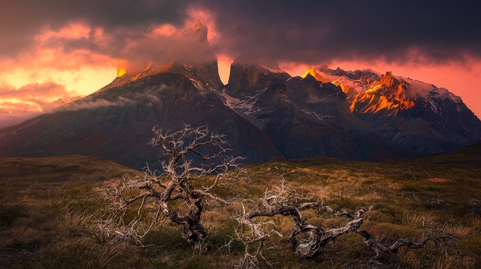mountain, clouds, landscape, Torres del Paine, Patagonia, nature, grass, snowy peak, sunset, dead trees, Chile