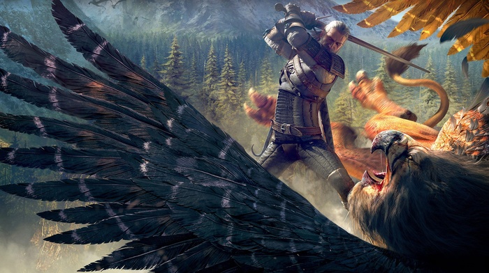 The Witcher 3 Wild Hunt, video games