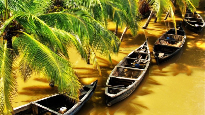 nature, India, sunlight, flood, shadow, wood, boat, water, river, palm trees