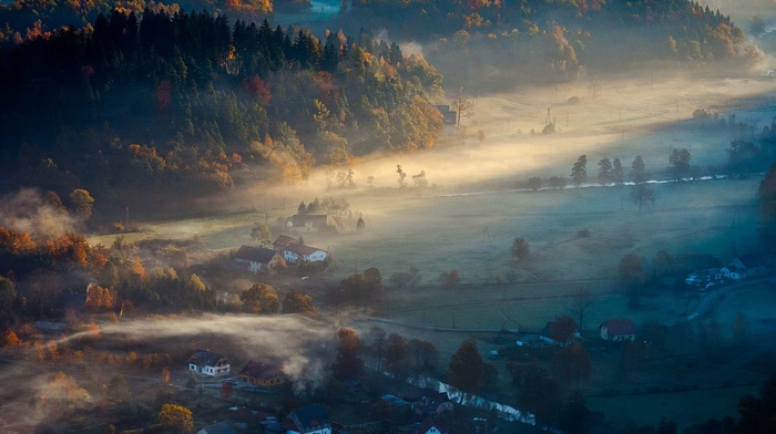 sunrise, fall, village, landscape, forest, field, nature, morning, mist