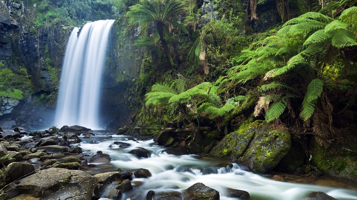 nature, waterfall, landscape