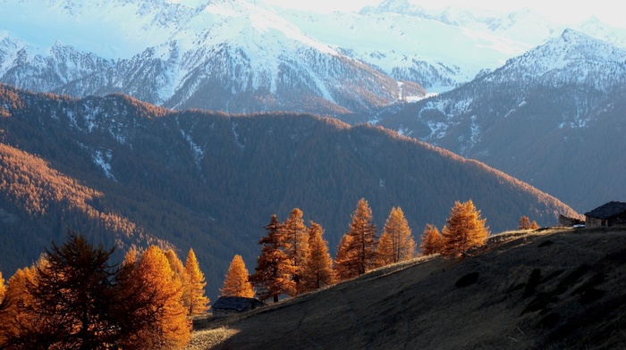 mountain, landscape, nature, forest