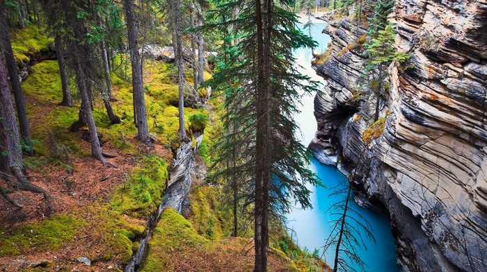 river, water, cliff, Canada, rock, erosion, Alberta, landscape, forest, trees, grass, nature
