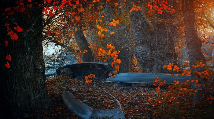 fall, nature, boat, red, blue, leaves, landscape, trees