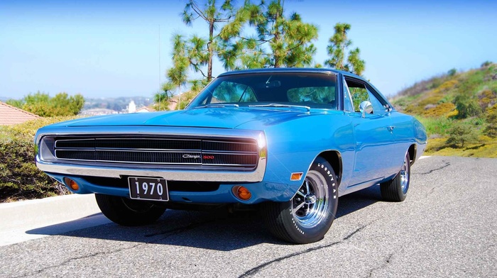 Dodge Charger, car, muscle cars