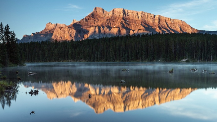 forest, nature, mountain, lake, landscape