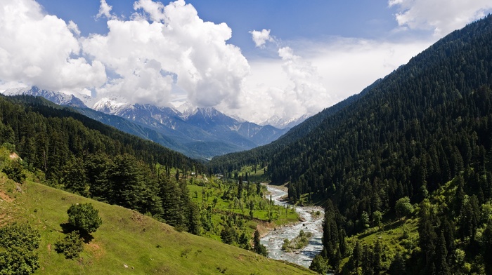 snowy peak, landscape, river, grass, trees, forest, Kashmir, green, mountain, nature, valley, clouds