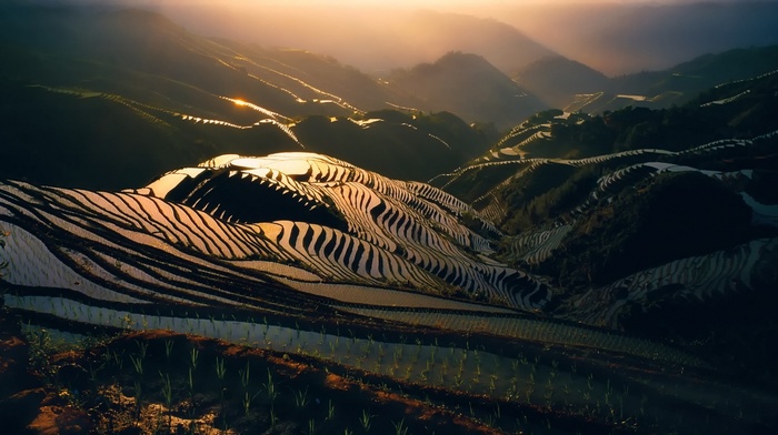 landscape, rice paddy, mist, sunrise, morning, sunlight, nature, water, terraces, mountain, China