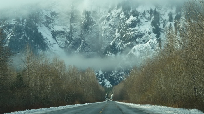 nature, landscape, forest, mountain, road, trees