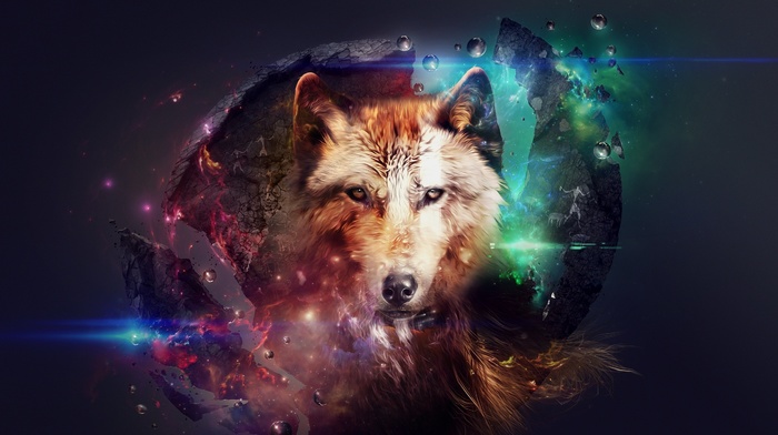 wolf, fantasy art, artwork, space, planet, science fiction, fire, stars
