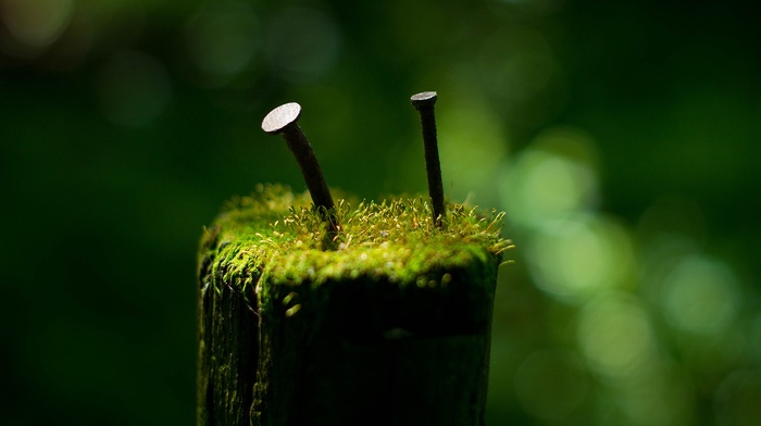 green, photography, blurred, Iron age, depth of field, macro