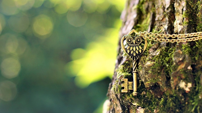 keys, depth of field, chains, photography, owl, green