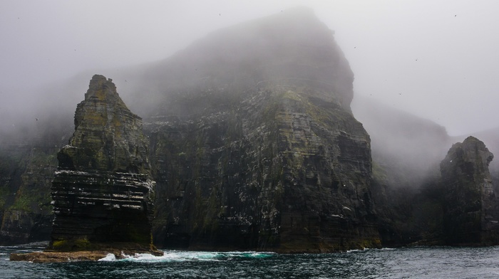 mist, nature