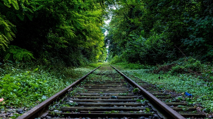 rail yard, trees, nature