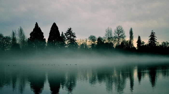 landscape, trees, mist, lake