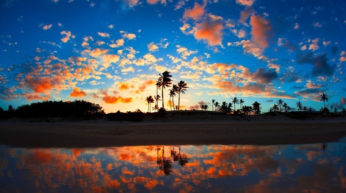 tropical, clouds, landscape, sea, sunrise, nature, reflection, sand, palm trees, beach