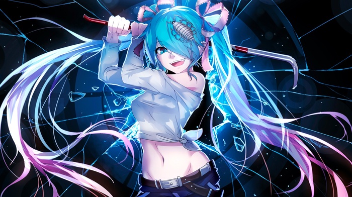 Vocaloid, anime, Hatsune Miku