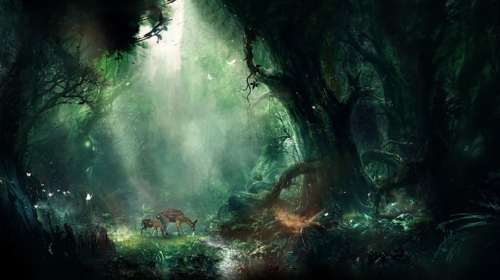 digital art, fantasy art, nature, forest, deer, artwork
