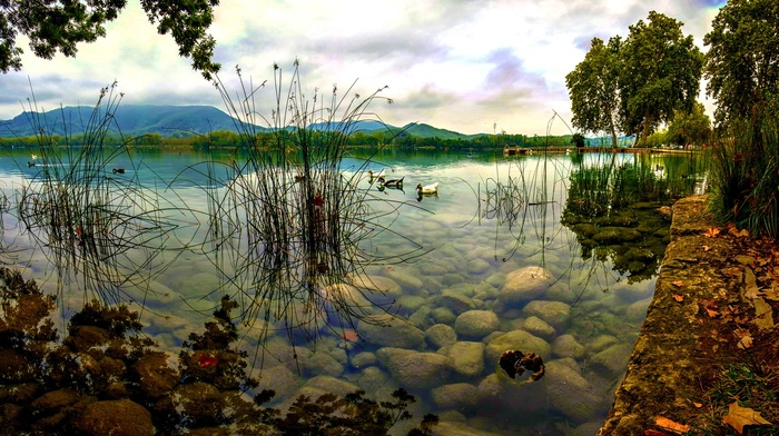 trees, birds, nature, animals, pier, lake, hill, duck, landscape, leaves, water, reflection, stones, clouds