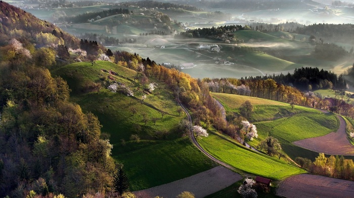 cherry trees, landscape, nature, villages, mist, valley, spring, field, Slovenia, sunrise