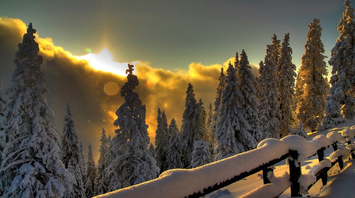 sunset, fence, snow, winter, trees, landscape