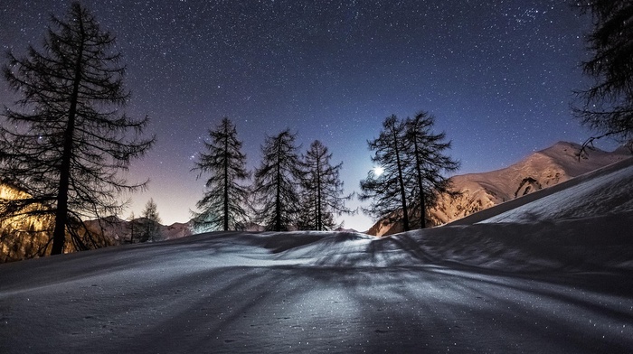 snow, winter, landscape, trees, stars, night
