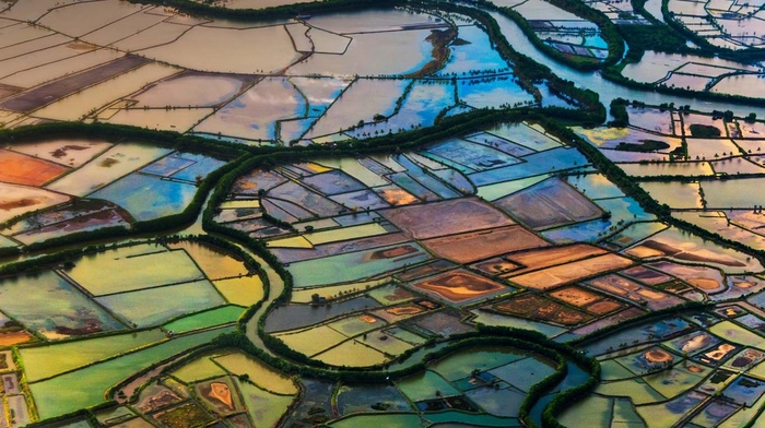 Indonesia, field, landscape, nature, aerial view