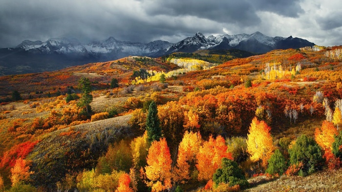landscape, mountain, fall, colorful, clouds, nature, snowy peak, Colorado, forest