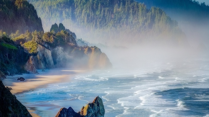 cliff, sea, beach, sunrise, mist, mountain, Oregon, forest, nature, landscape