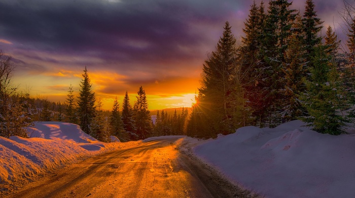 forest, sunset, snow, winter, nature, landscape, Norway, mist, gold, road