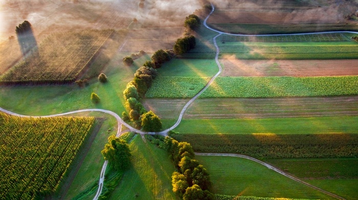 landscape, nature, road, aerial view, Slovenia, mist, field, trees, sunrise