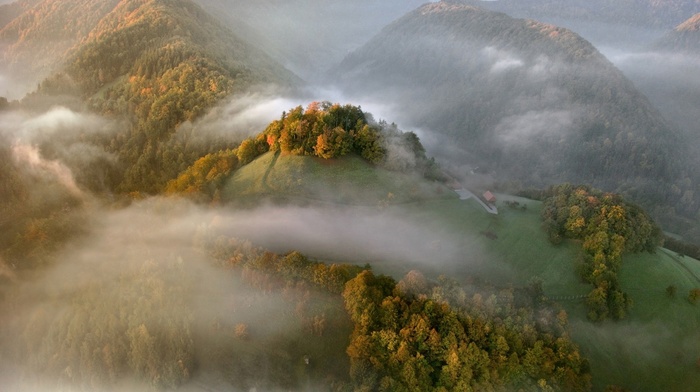 nature, mist, mountain, sunrise, landscape, forest, aerial view, fall, field