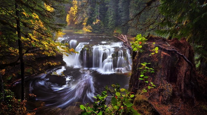 pnwwonderland, waterfall, landscape, nature, lowerlewisfalls