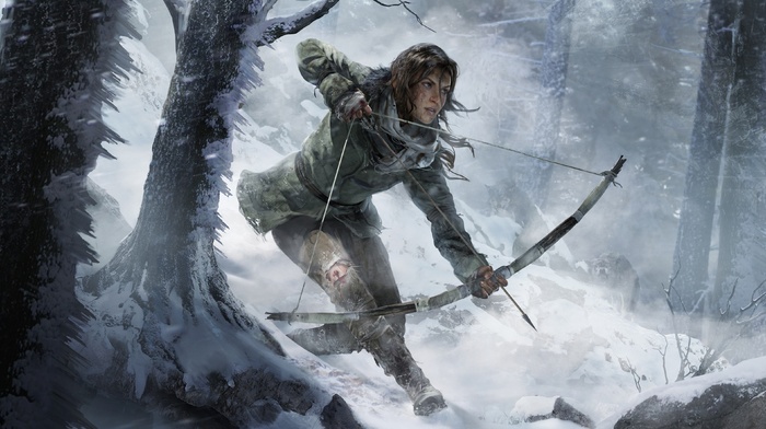 Lara Croft, Rise of the Tomb Raider, Tomb Raider, video games