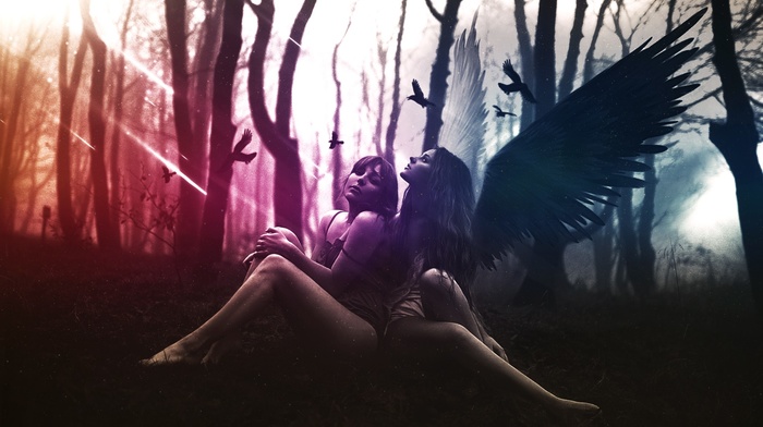 angel, photo manipulation, wings, graphic design, birds