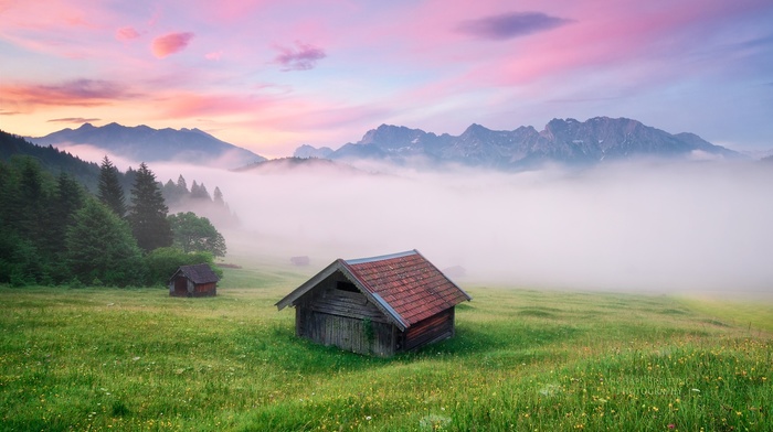 mist, Alps, landscape, nature, grass