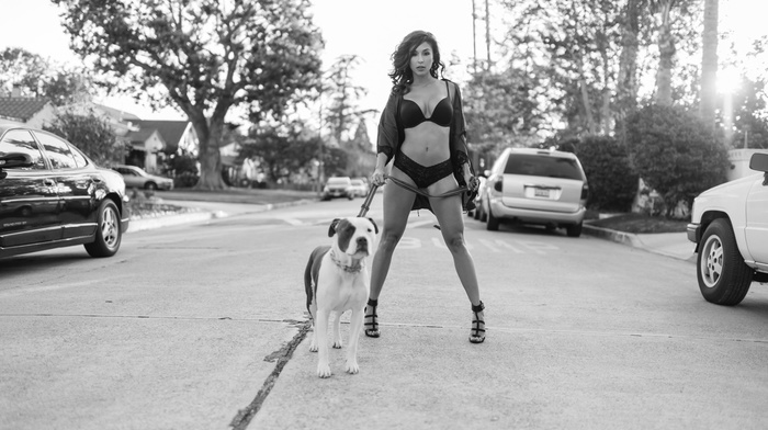 Tianna Gregory, lingerie, road, dog, girl, model