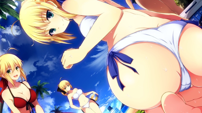 fate series, beach, Saber, bikini, ecchi