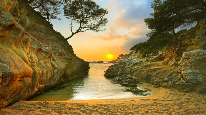 sand, beach, rock, nature, trees, coast, landscape, sea, sunrise