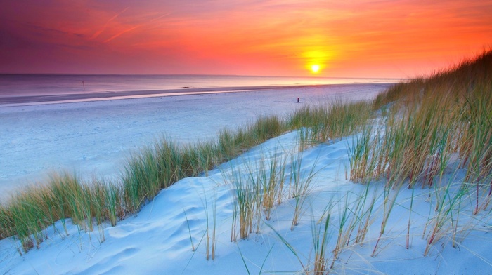 sunset, purple, grass, Netherlands, beach, yellow, nature, dune, sea, landscape, sand