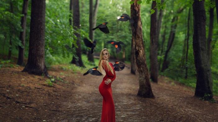 depth of field, long hair, birds, forest, blonde, girl, girl outdoors, red dress