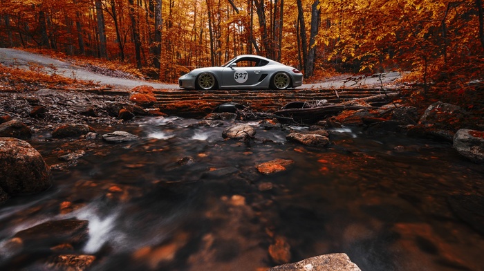stones, Porsche Cayman, car, leaves, trees, long exposure, sports car, stream, side view, fall, forest, vehicle, road, nature, rock
